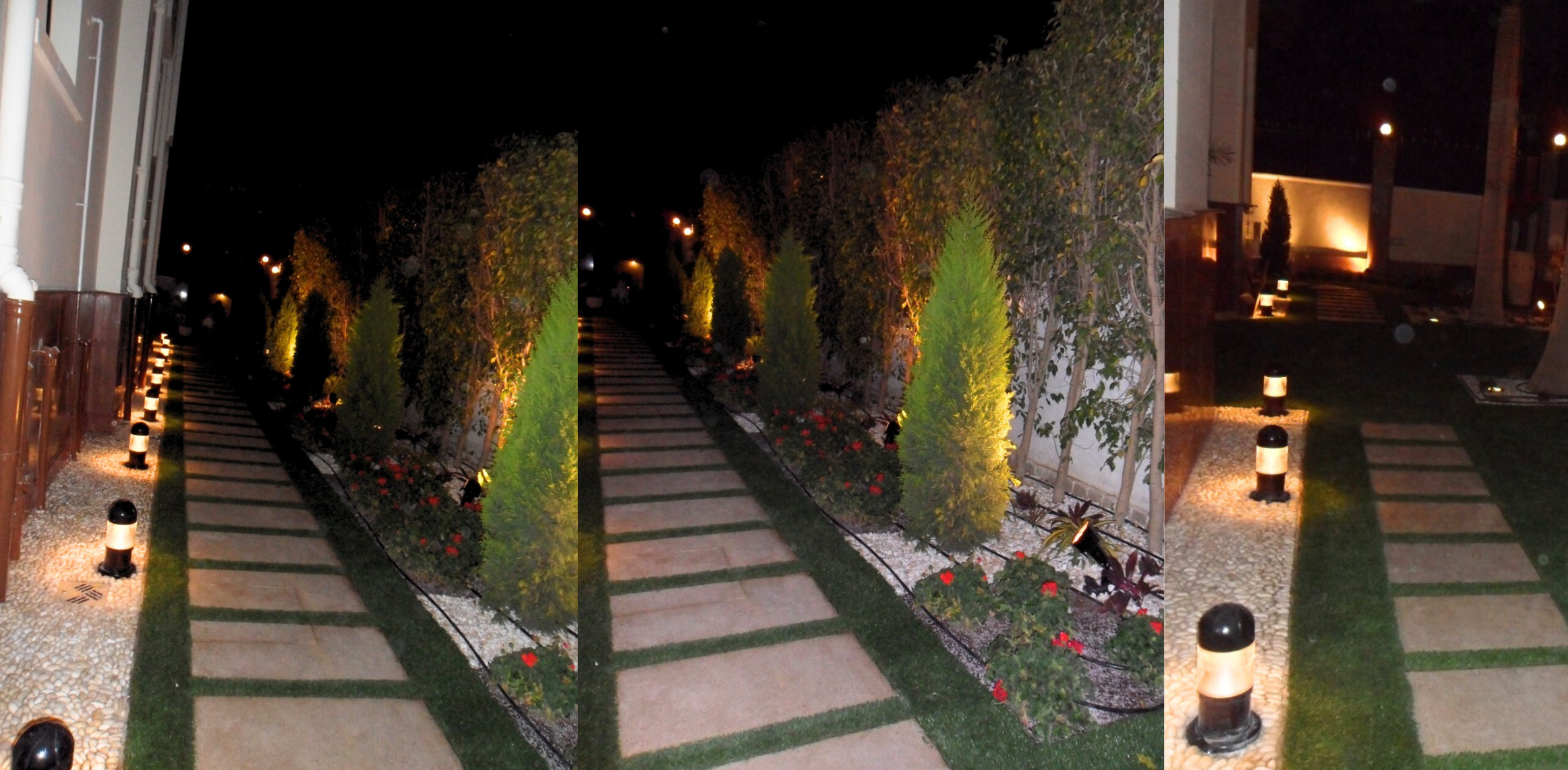 Untitled design (6)